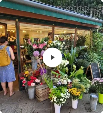 video/Image image