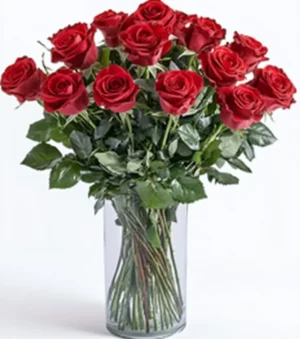 18 Red Roses