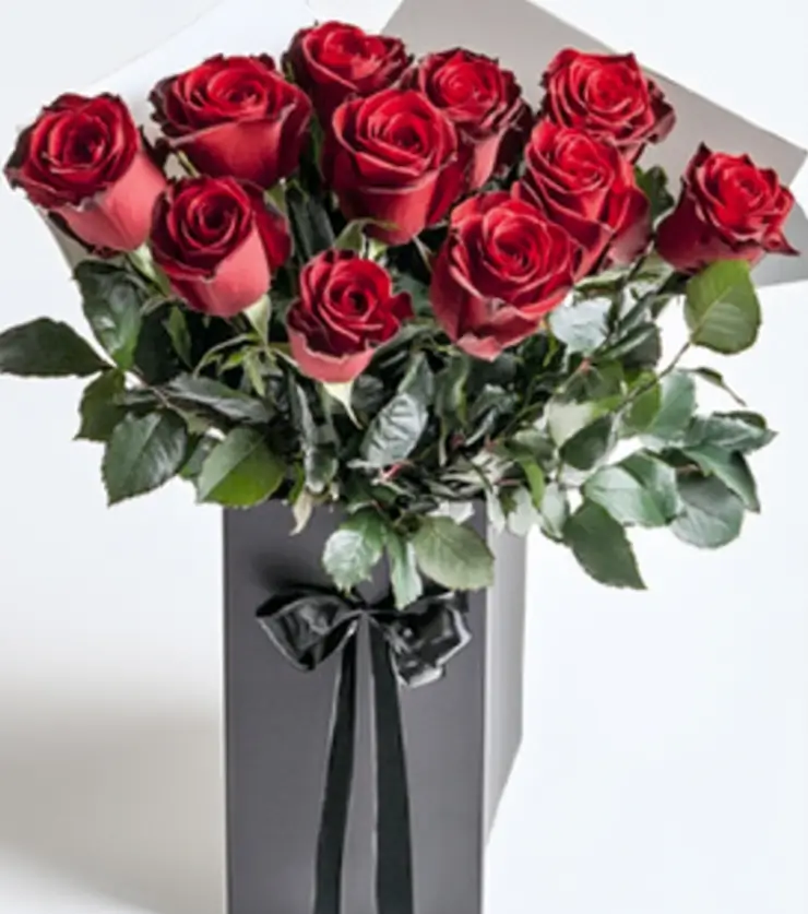 royal_roses-2-2.webp