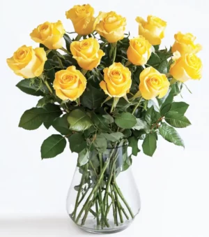 Thinking of You Roses
