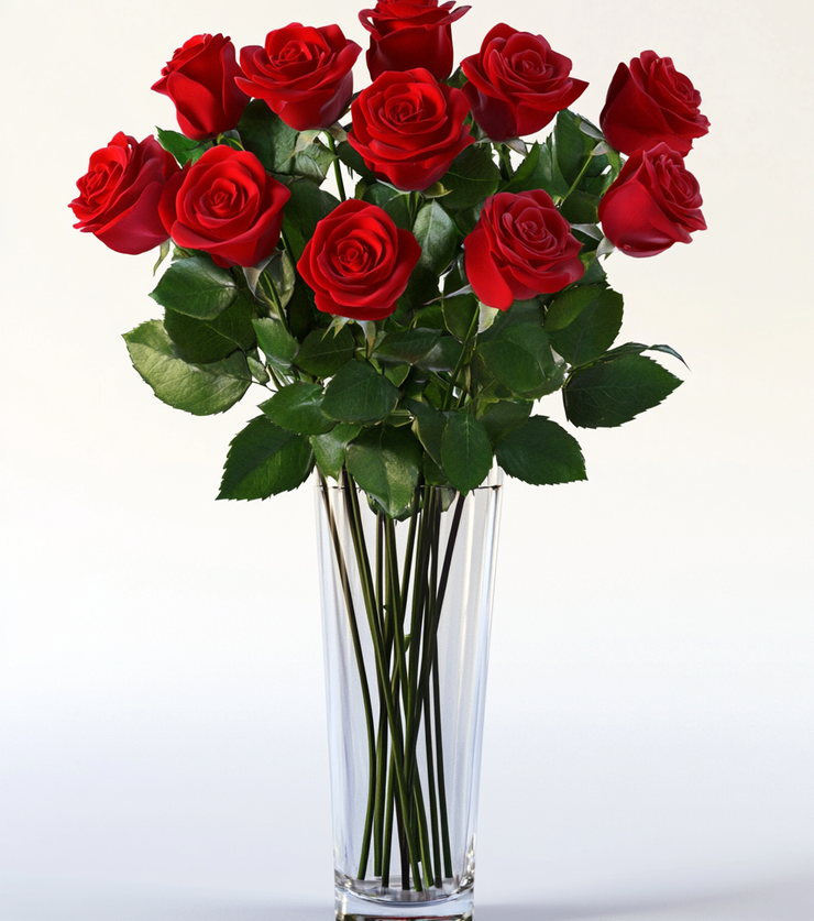 one_dozen_red_roses-1-5.webp