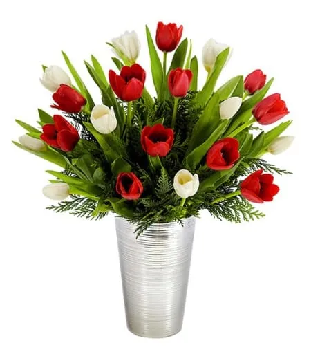 Holiday Tulip Surprise