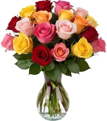 18 rainbow roses
