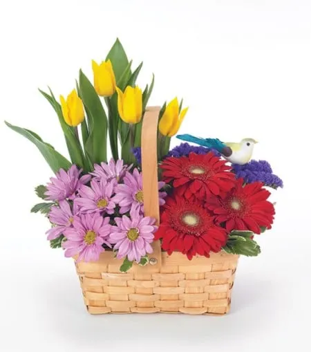 Happy Birthday Garden