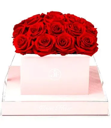 Rose Square Red