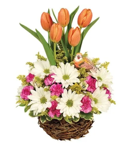 Spring Tulip Garden