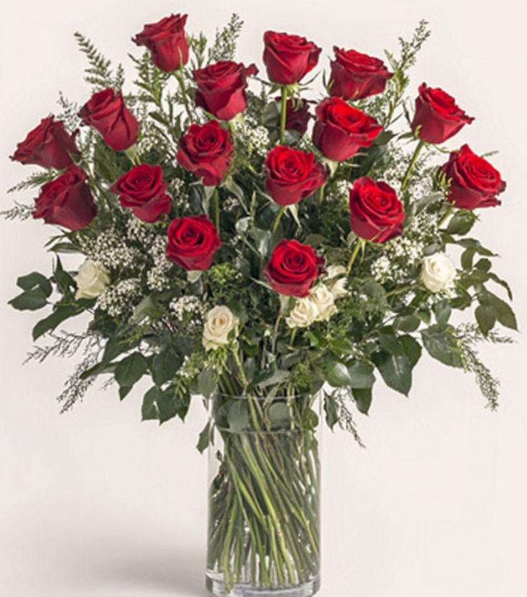 2 Dozen Red Roses