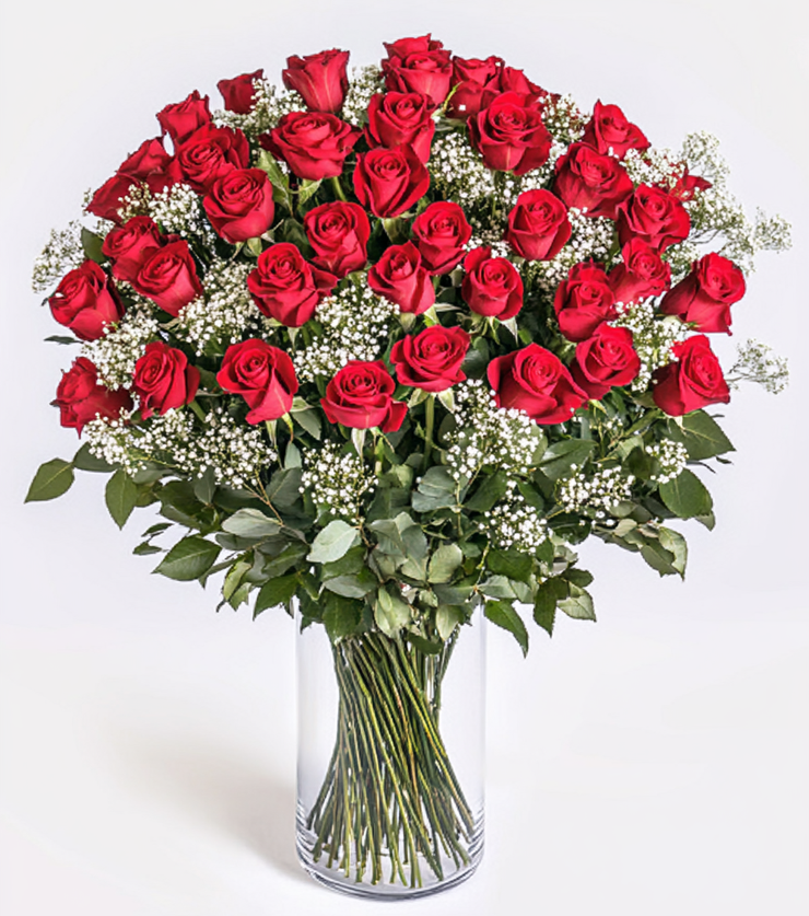 5 Dozen Roses VIP!