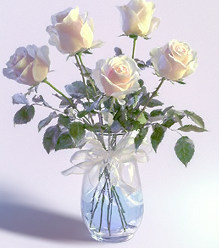 Half Dozen White Roses