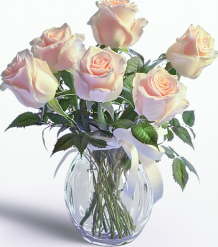 Half Dozen White Roses