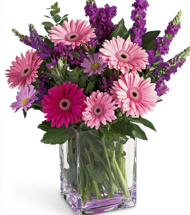 Pink and Purple