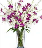 Tropical Birthday Flowers
