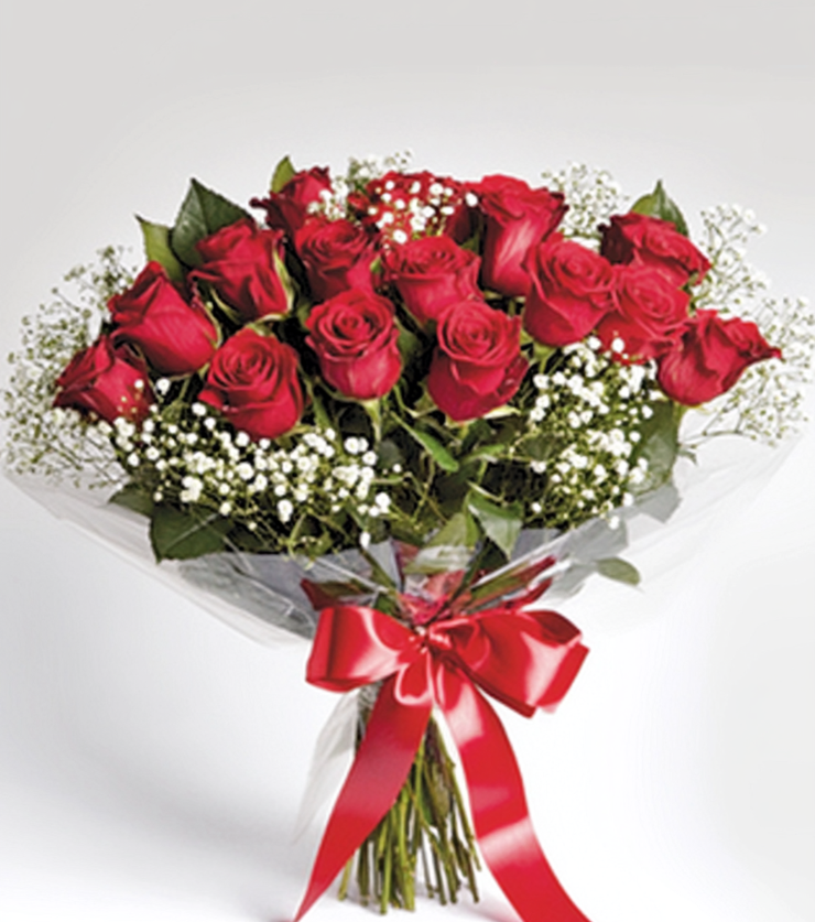 Velvety Roses