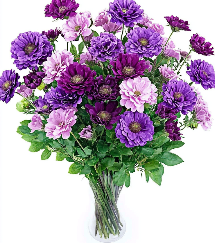 Elegance in Bloom