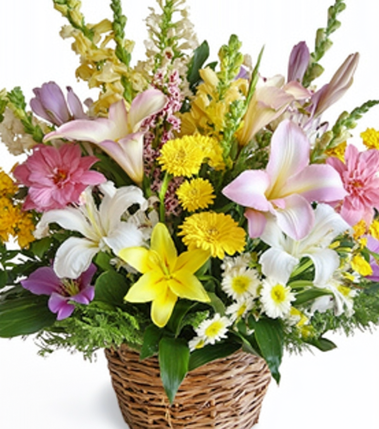 Radiant Blooms