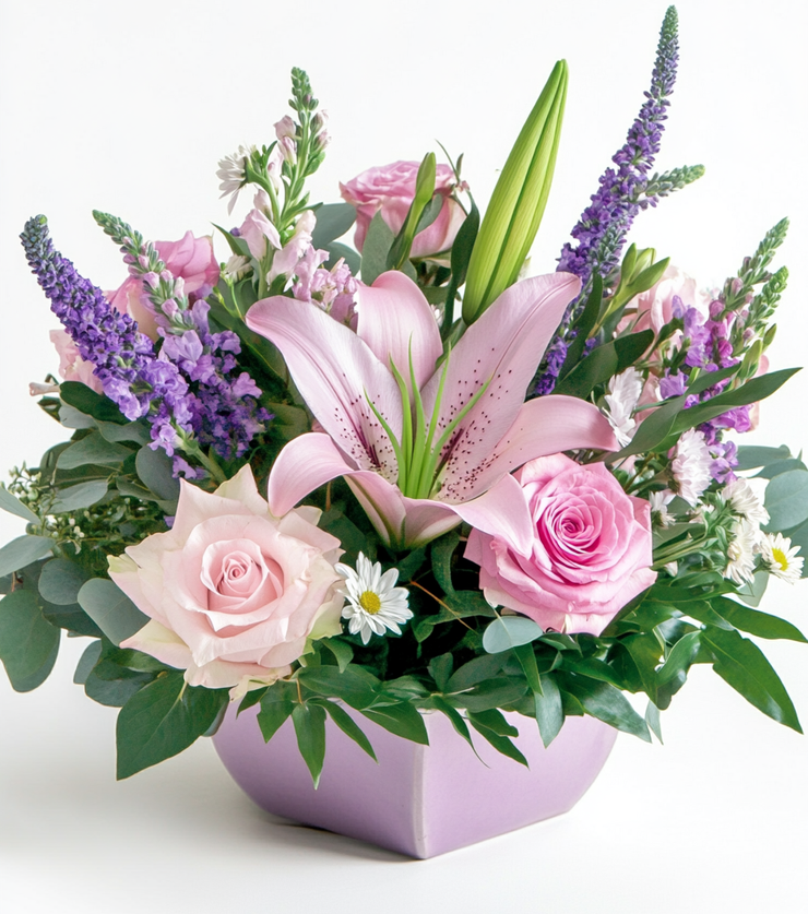 Stars in this stylish design