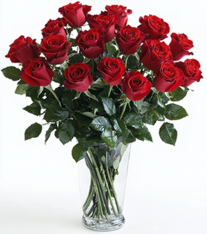 True Romance Roses