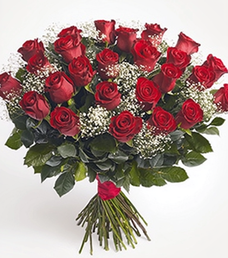 Two Dozen Red Rose Collection