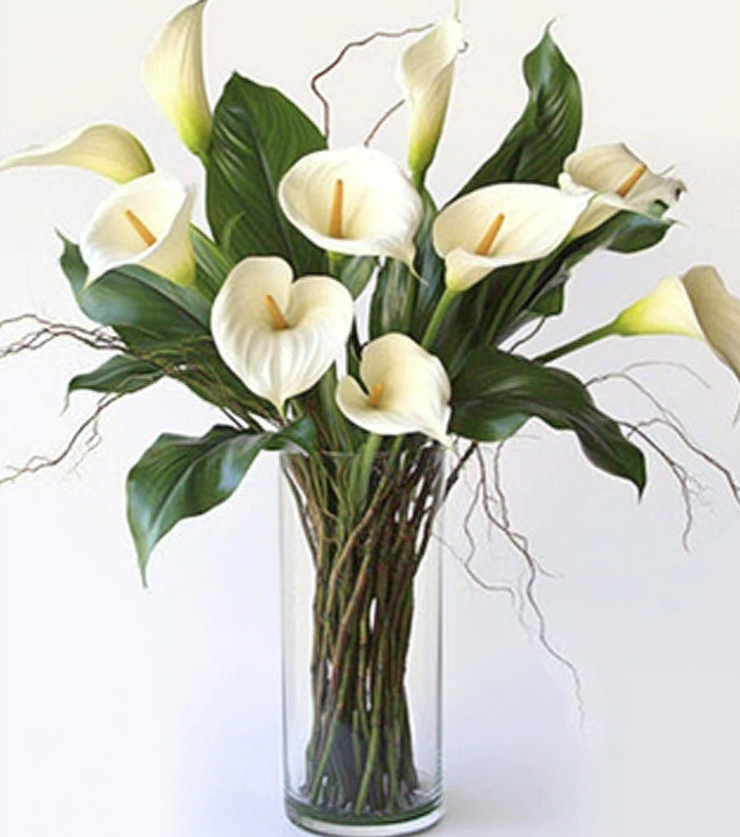 White Callas